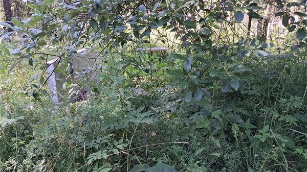 Пономарёва Ольга Павловна
