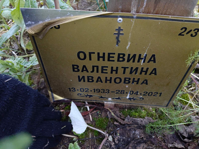 Огневина