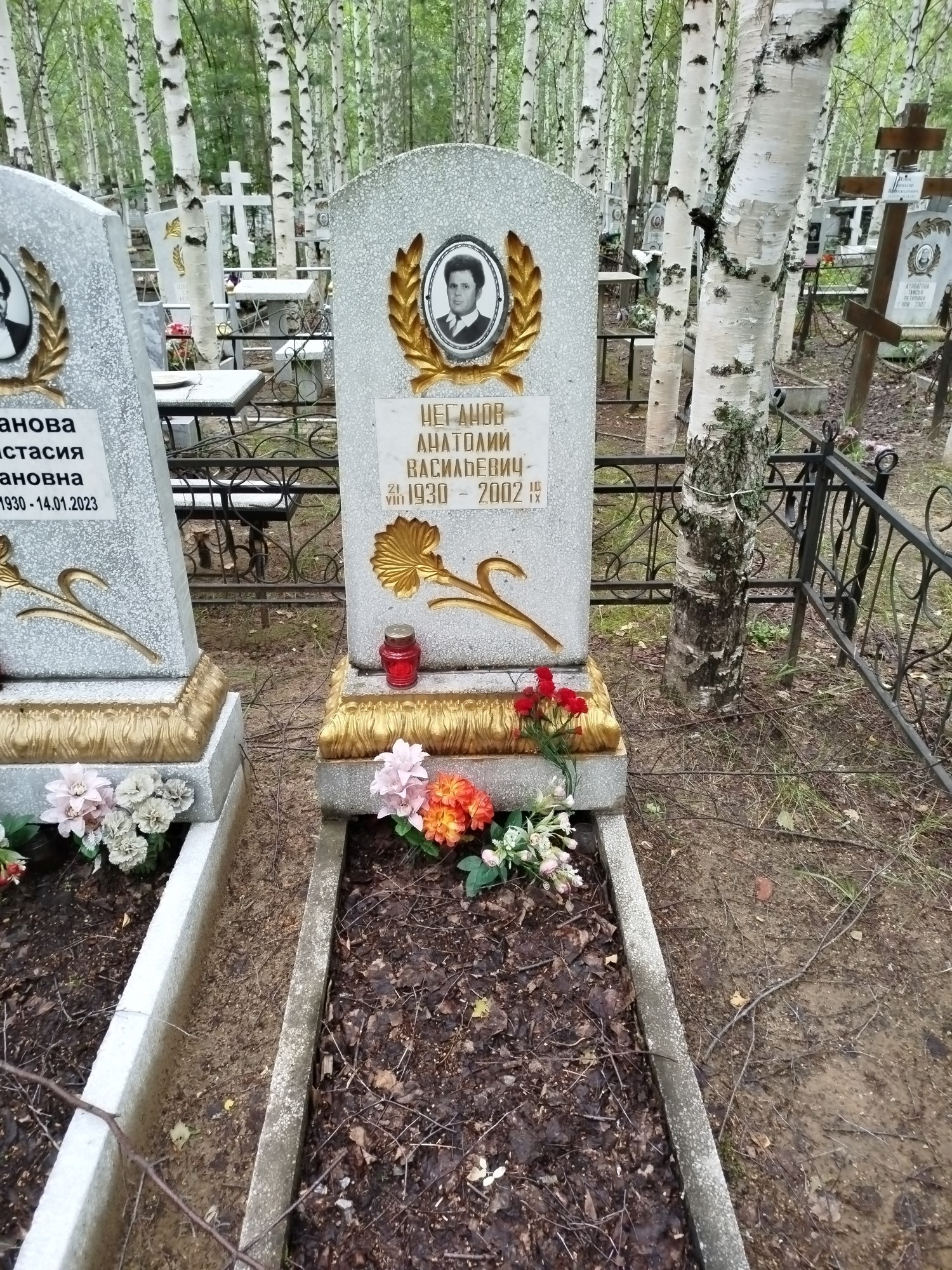 Неганов Анатолий Васильевич