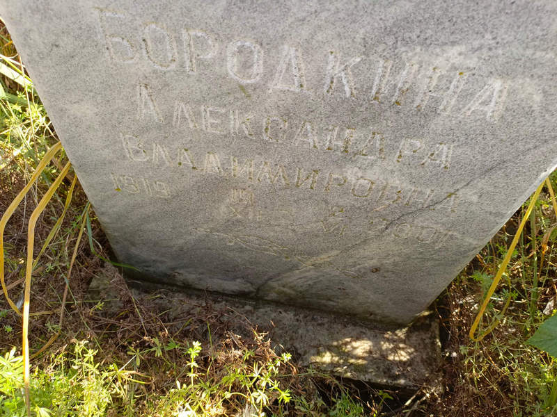 Бородкина Александра Владимировна