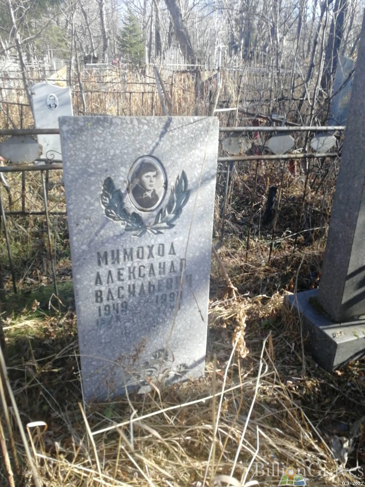 Мимоход Александр Васильевич