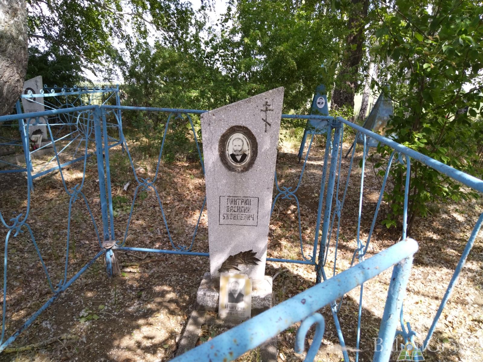 Пантрин Василий Яковлевич