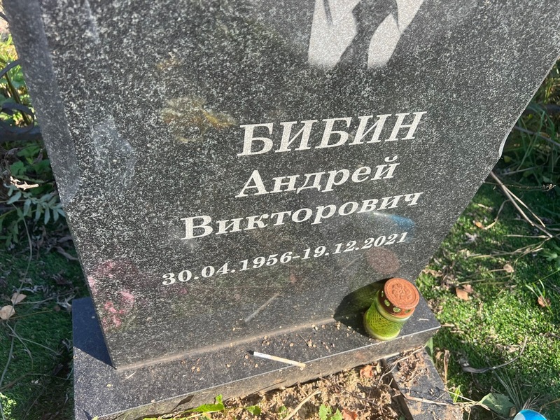 Бибин