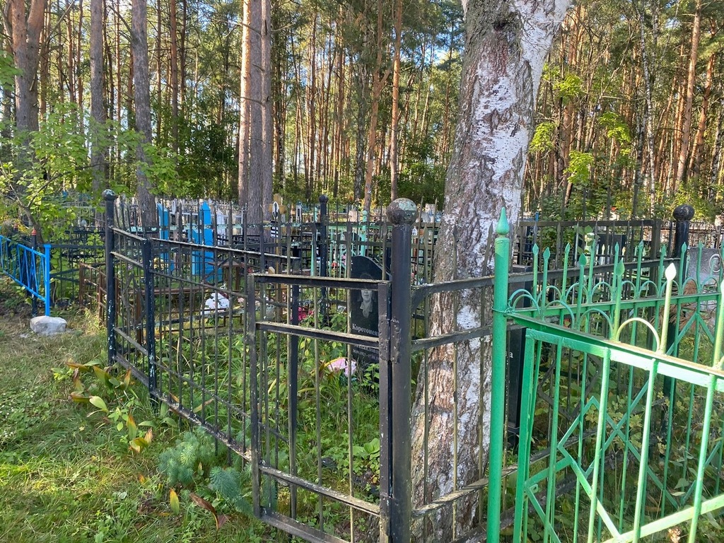 Фиешкина Дарья Ивановна