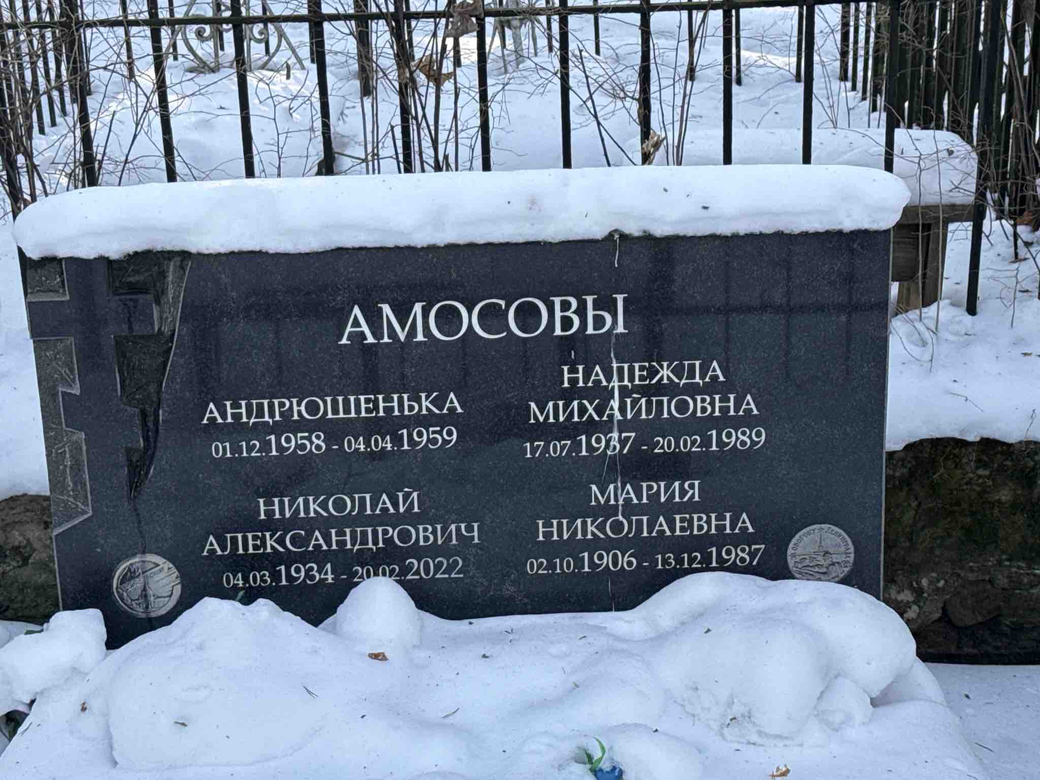 Амосов Николай Александрович