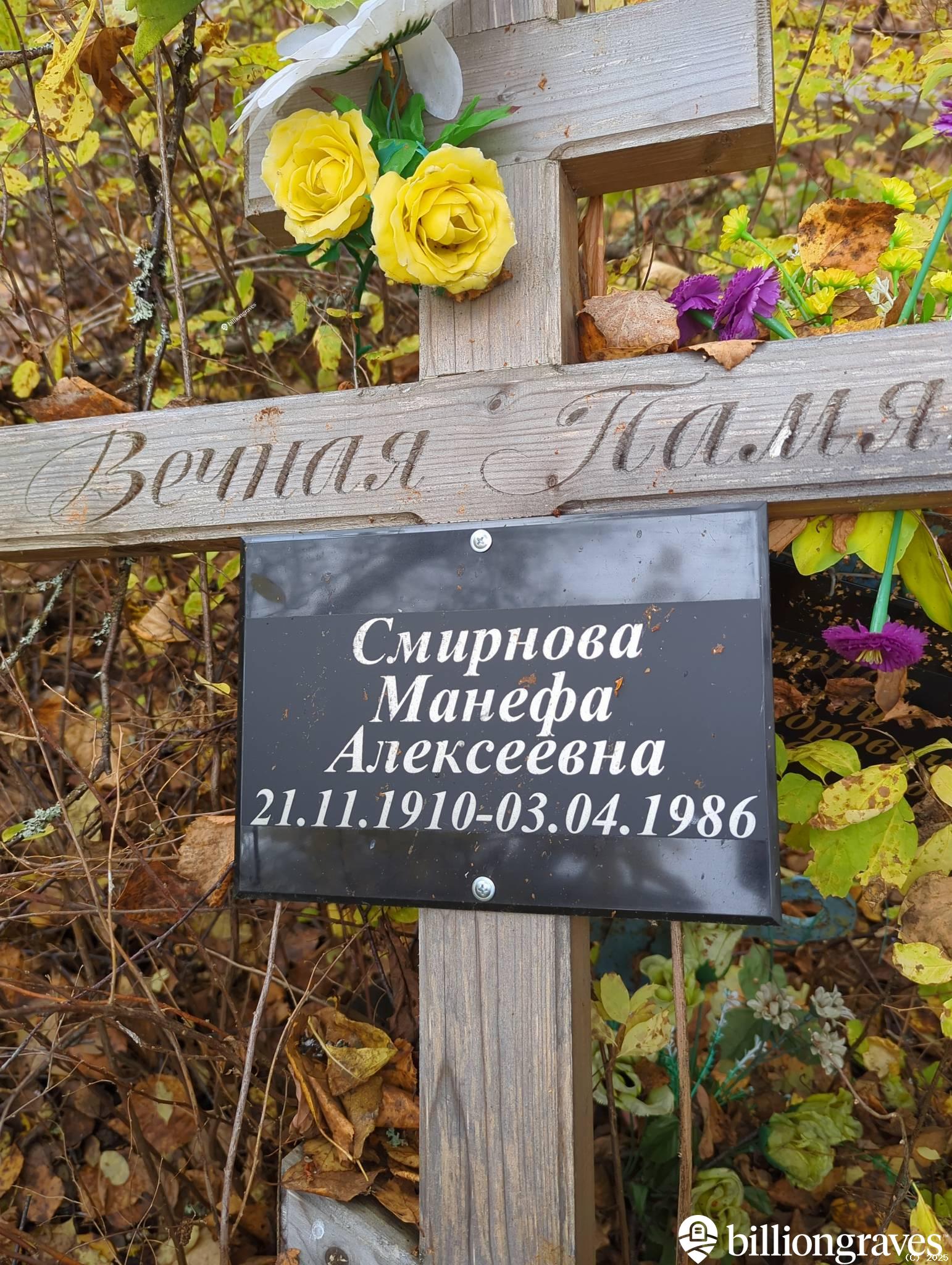 Смирнова Манефа Алексеевна