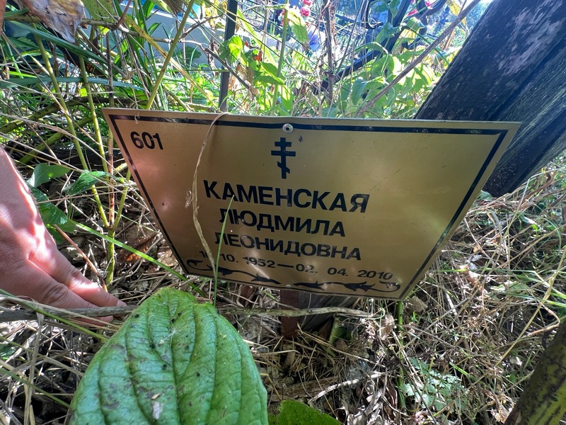 Каменская
