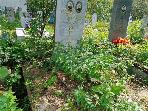 Ширяева Александра Ивановна