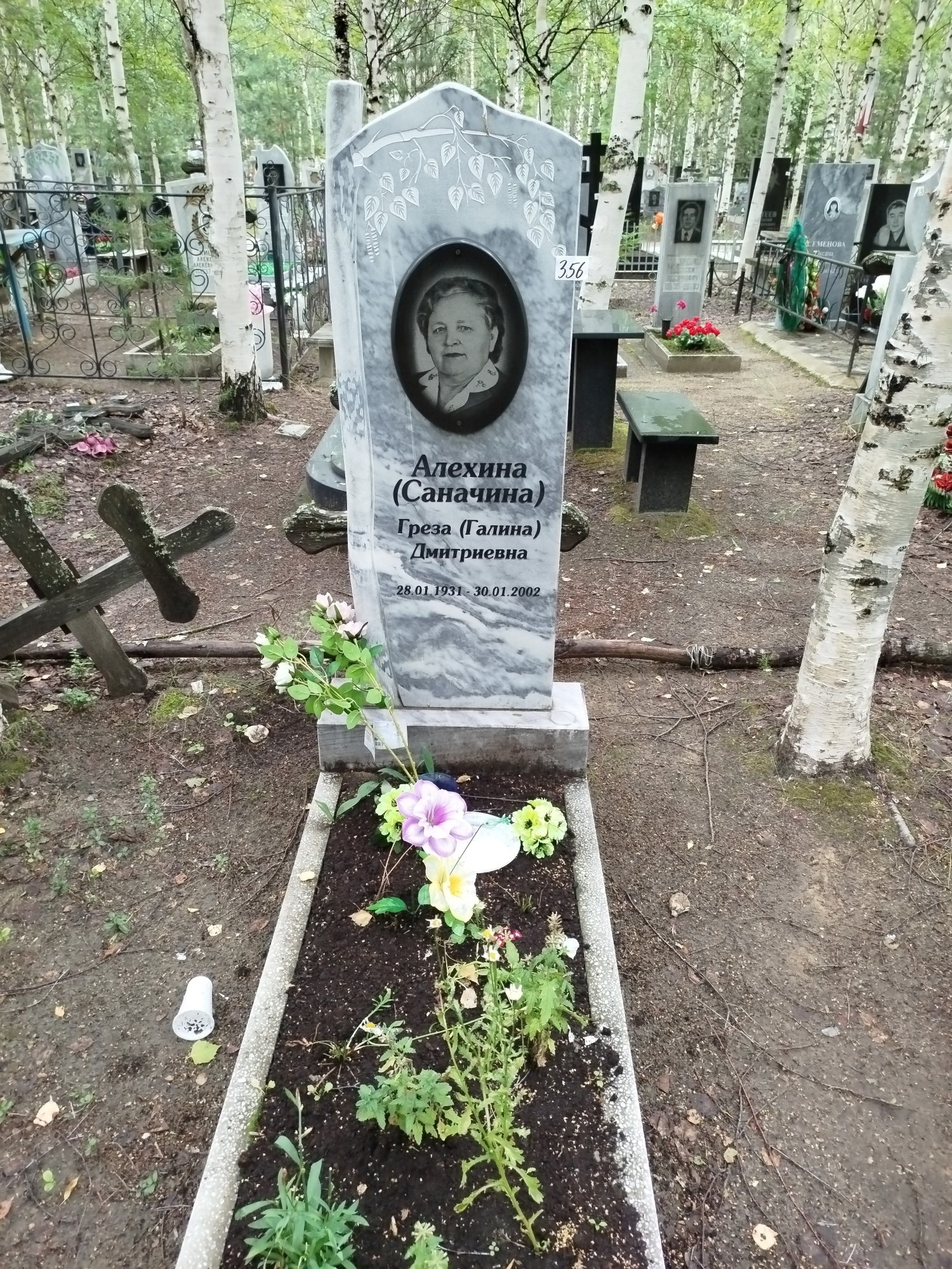 Алехина Греза Дмитриевна