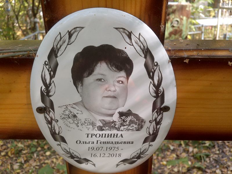 Тропина