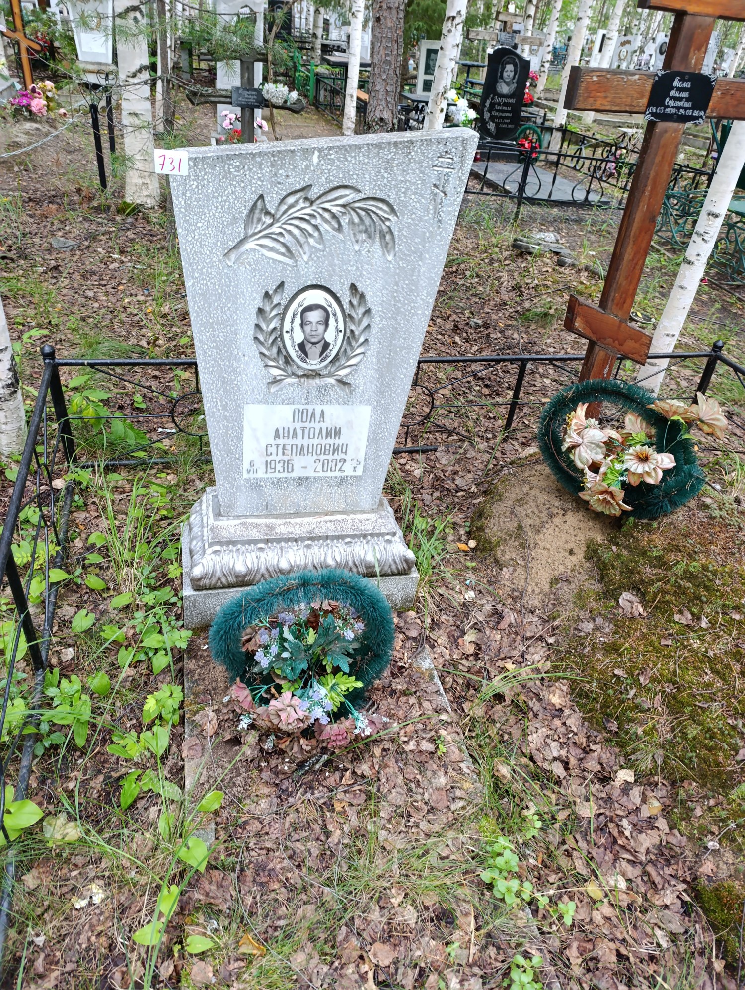 Пола Анатолий Степанович