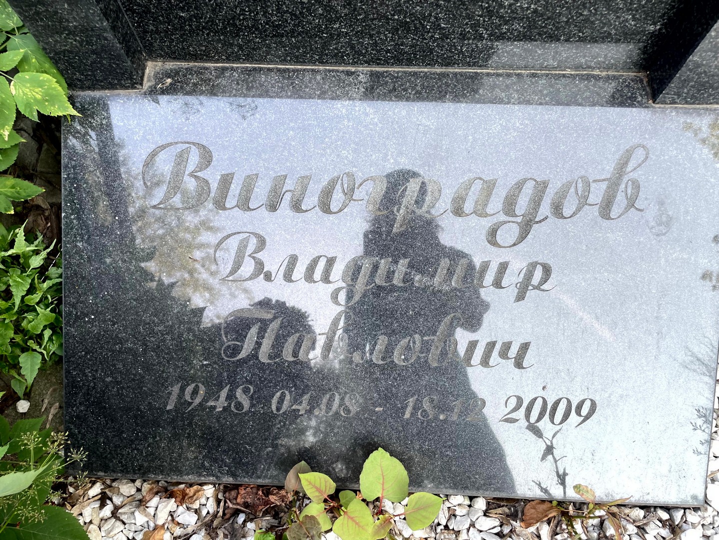 Виноградов