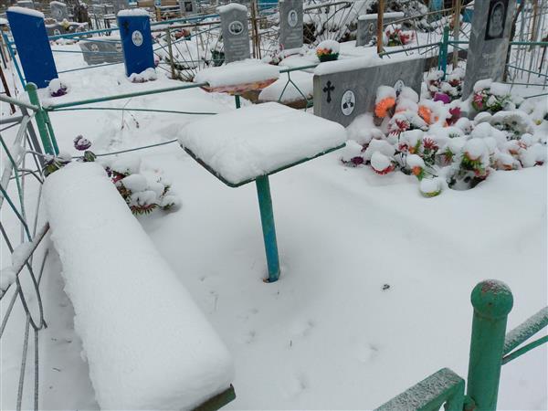 Чеушева Ольга Рашитовна
