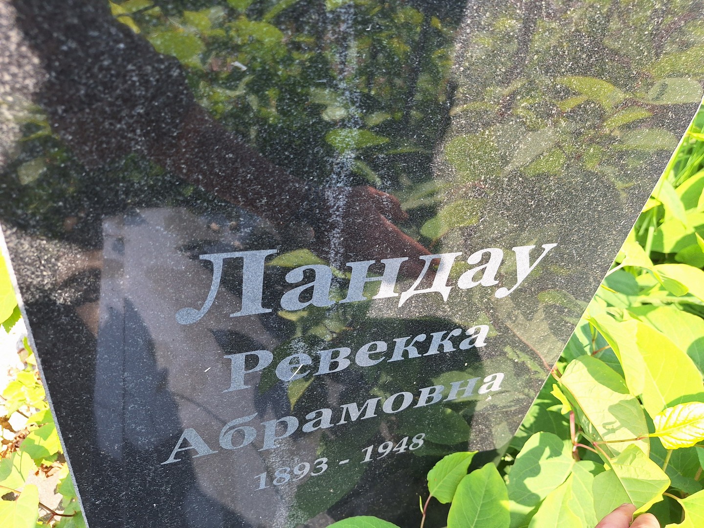 Ревекка Ландау Абрамовна