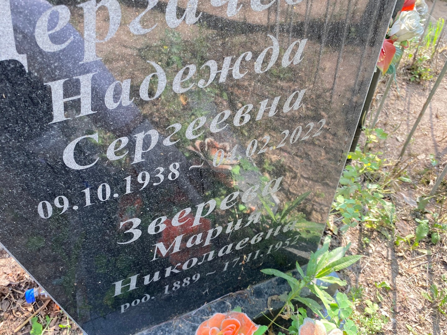 Зверева