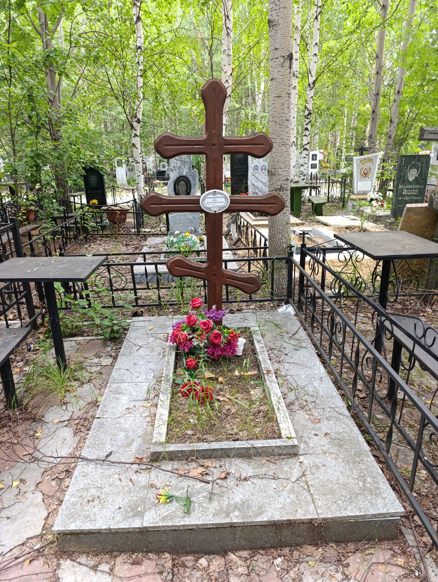 Дмитренко Зоя Дмитриевна