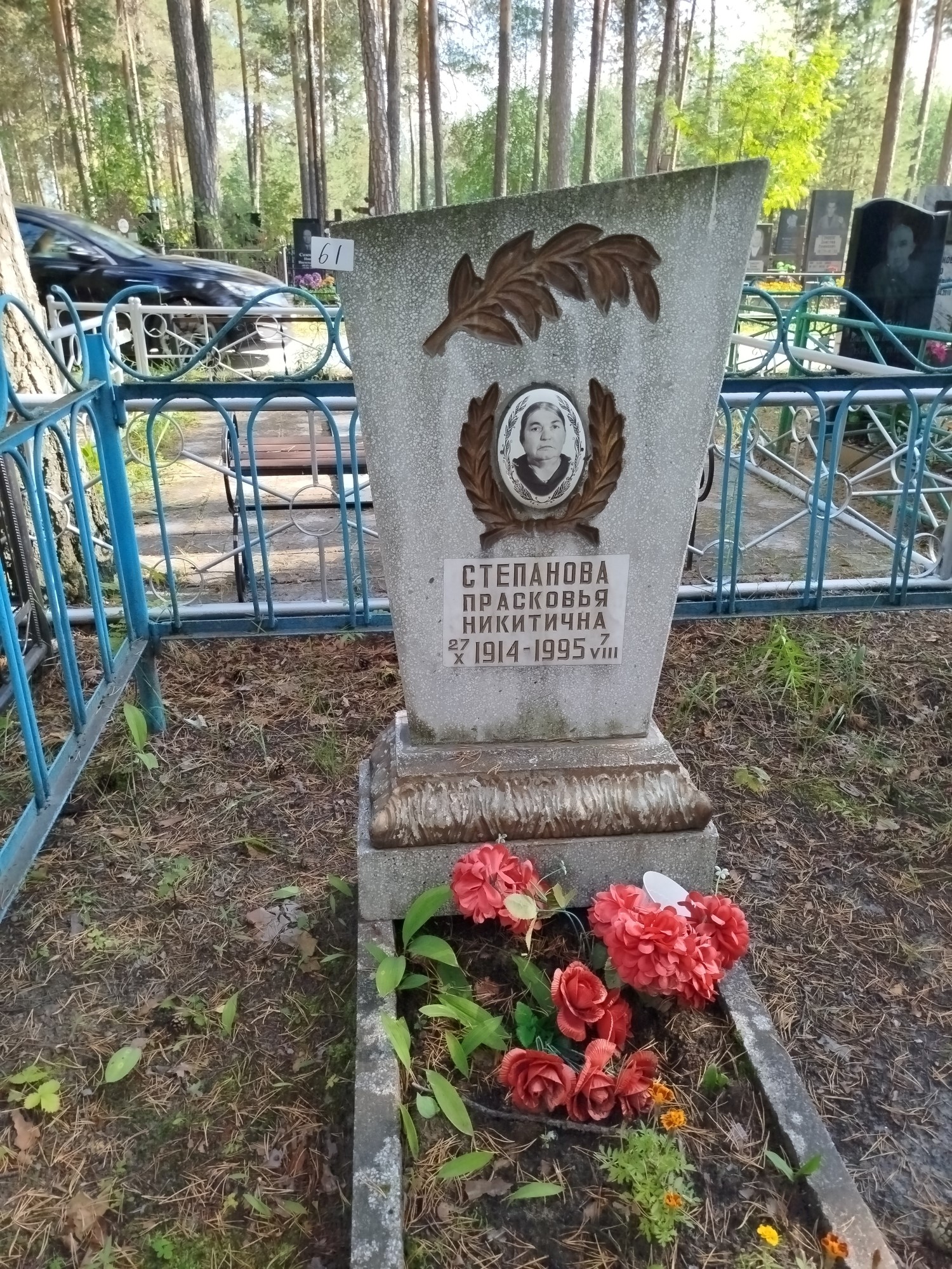 Степанова Прасковья Никитична