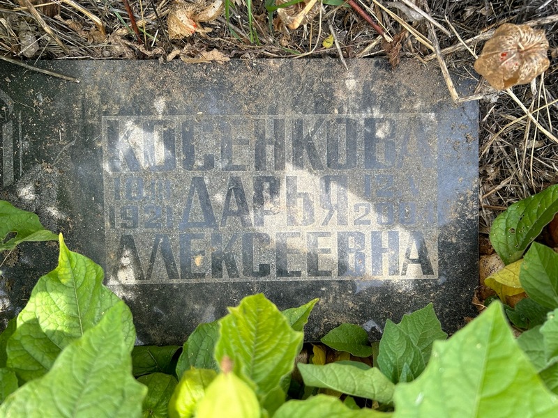 Косенкова