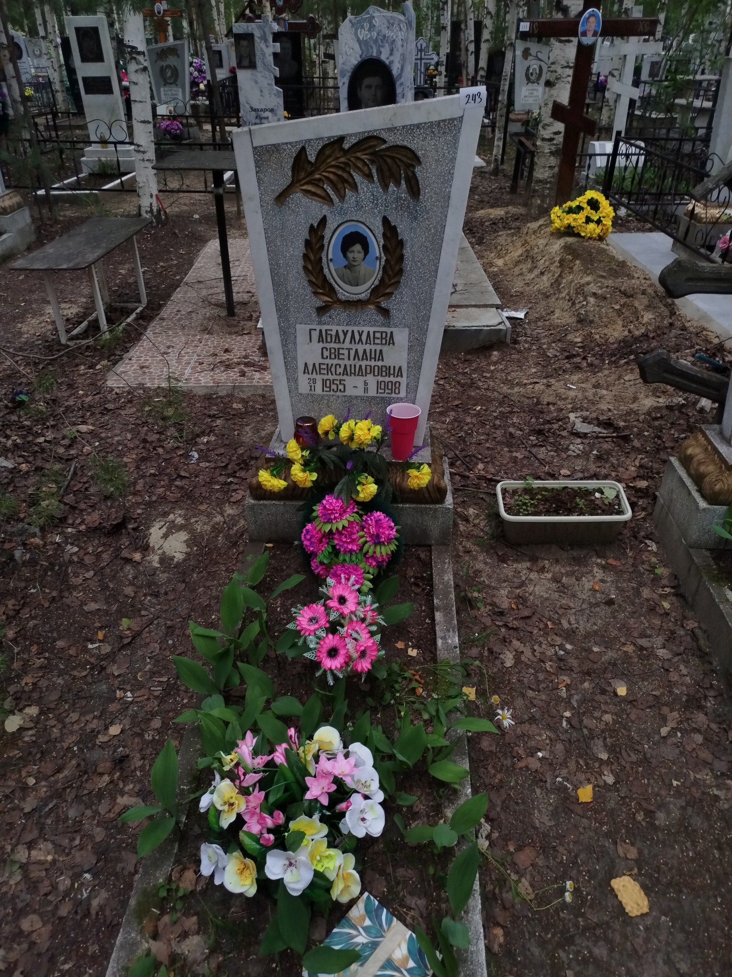 Габдулхаева Светлана Александровна