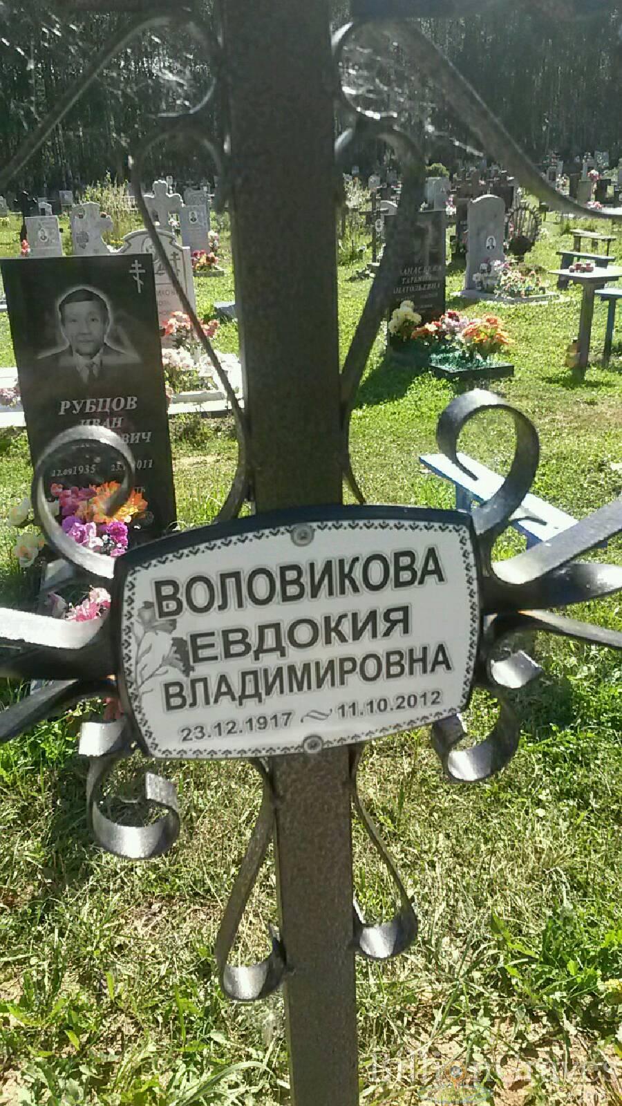 Воловикова Евдокия Владимировна
