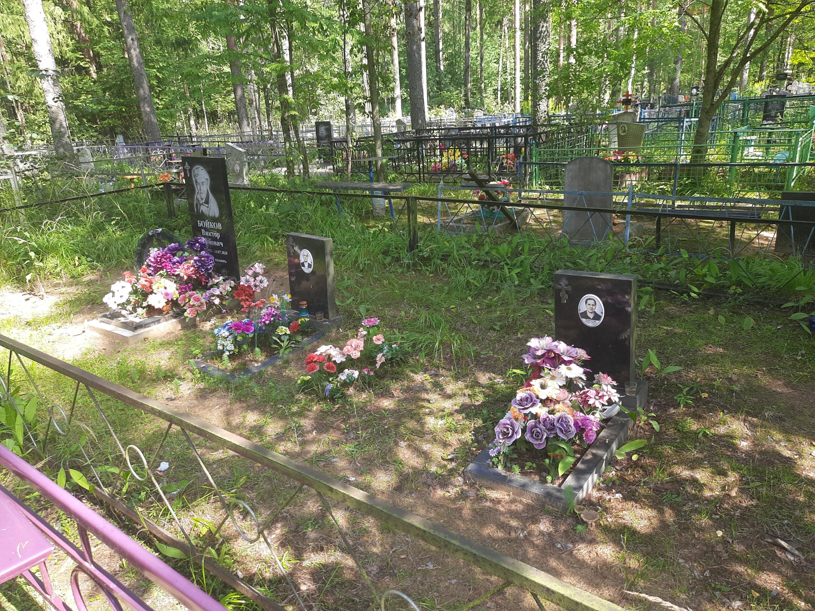 Бойков Виктор Эйнович
