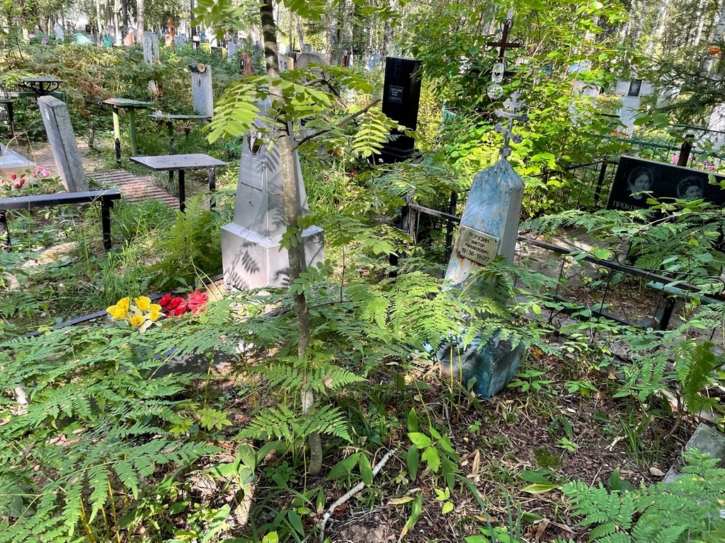 Перузин Виктор Михайлович