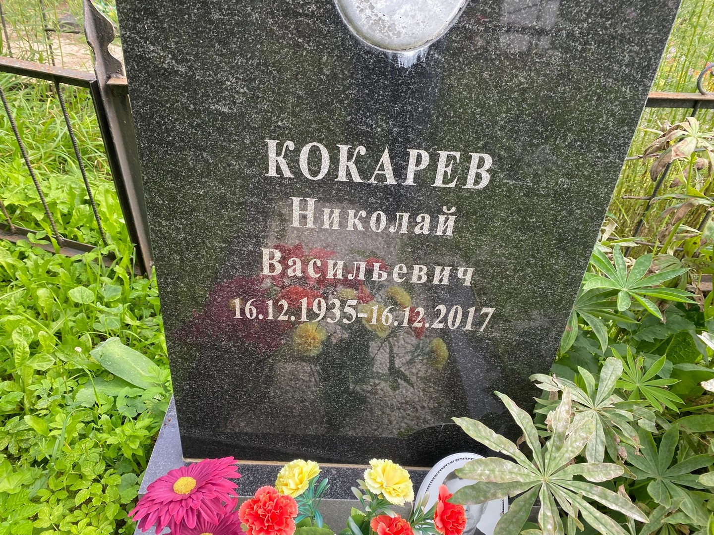 Кокарев