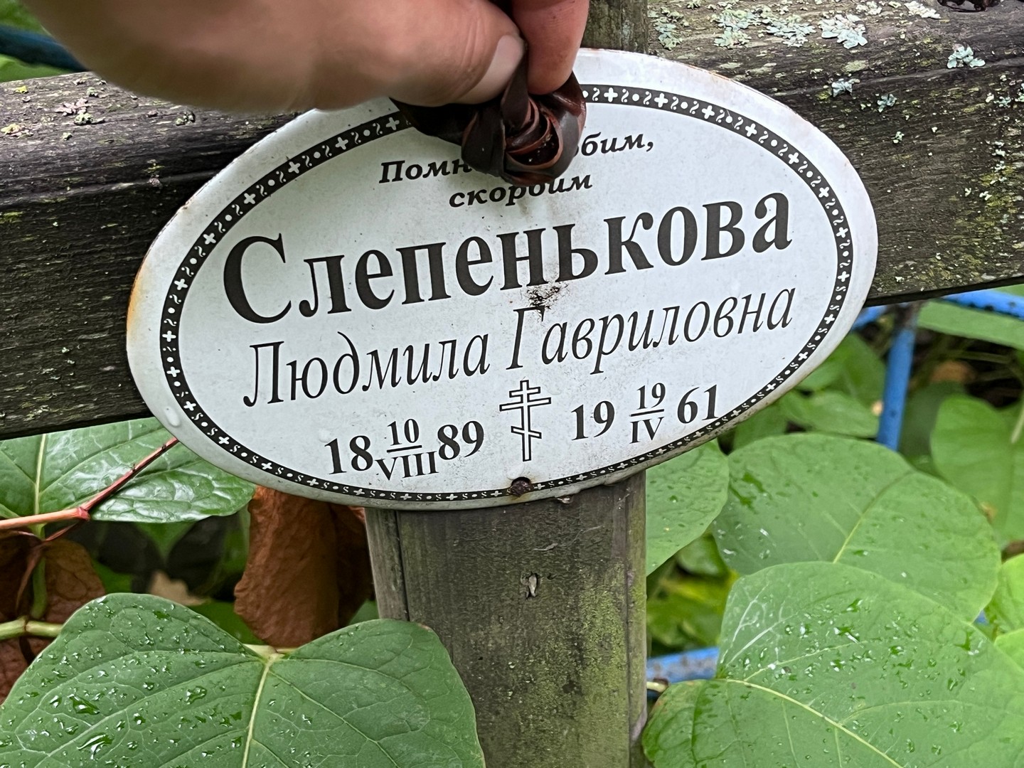 Слепенькова