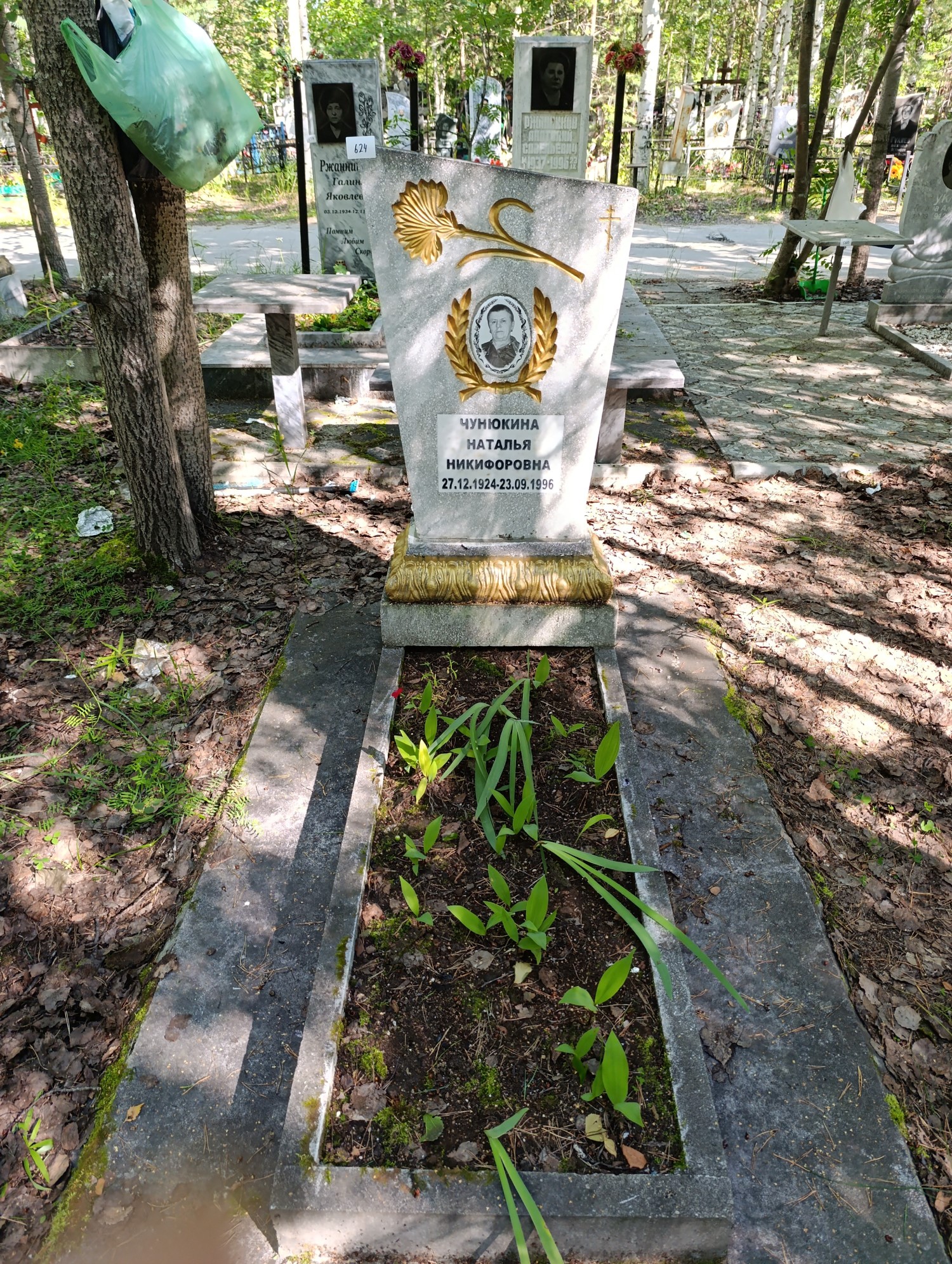 Чунюкина Наталья Никифоровна