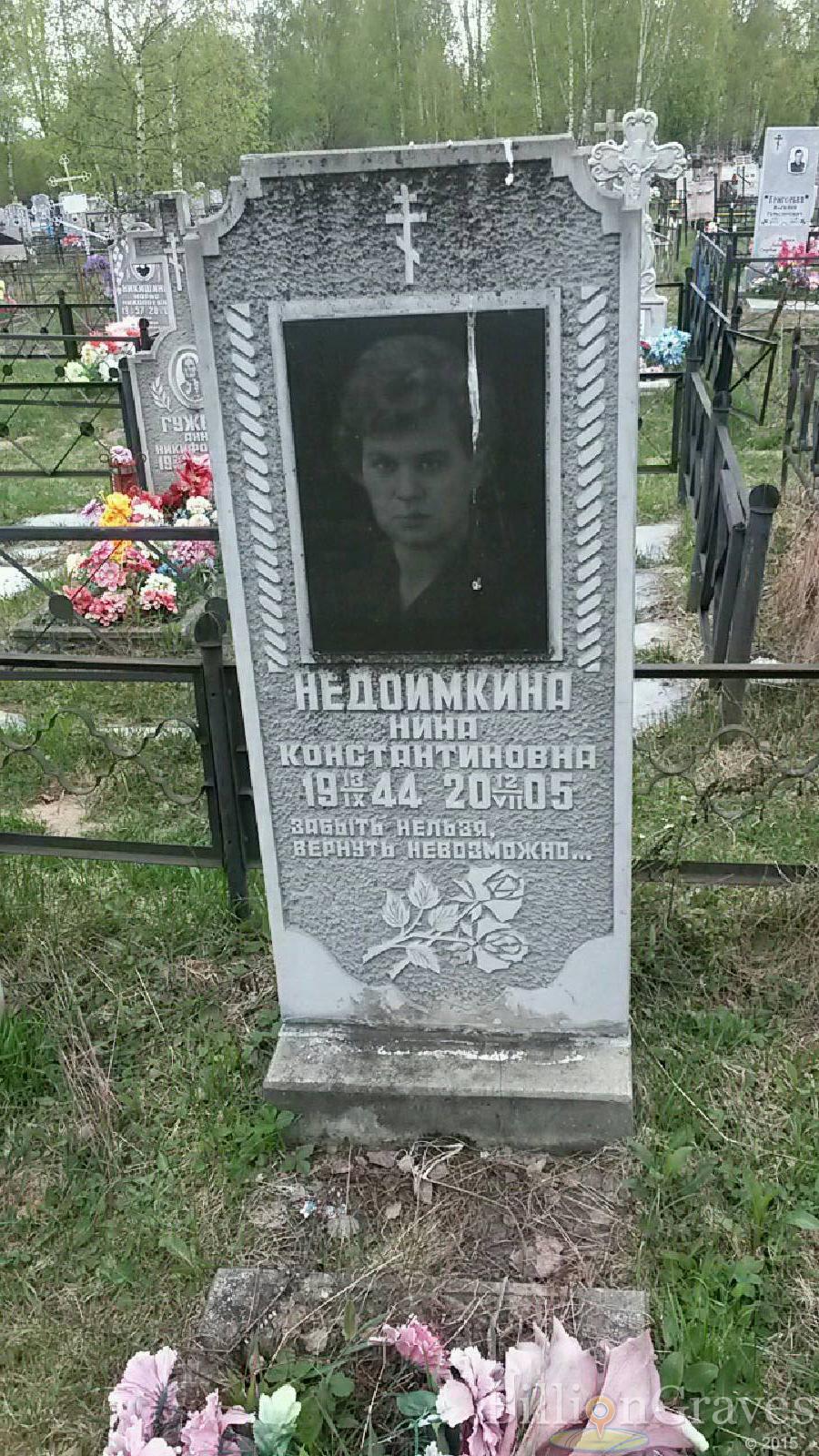 недоимкина нина константиновна