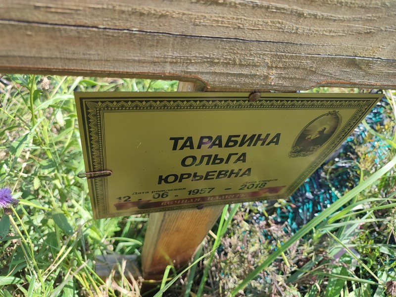 Тарабина