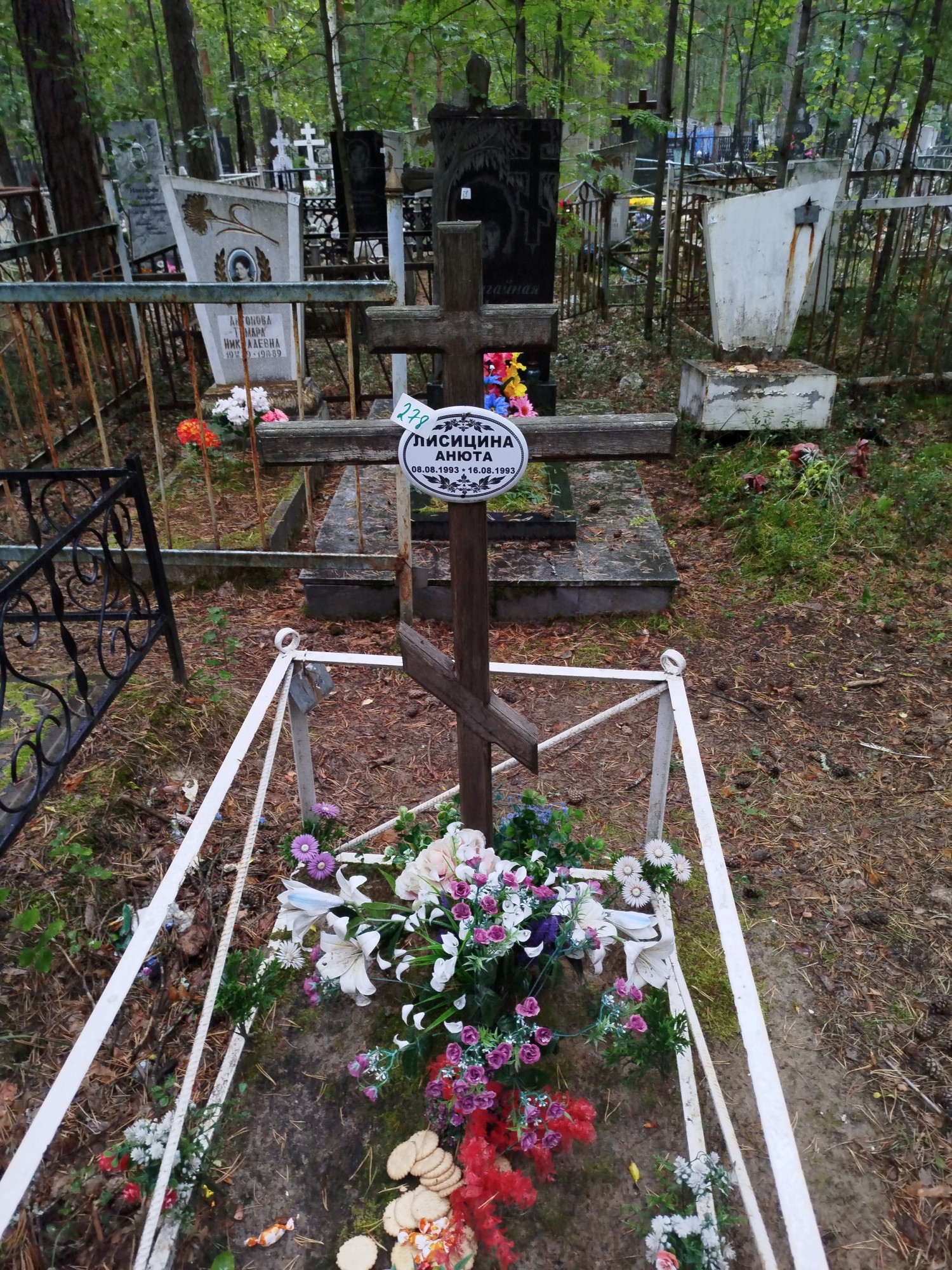 Лисицина Анюта