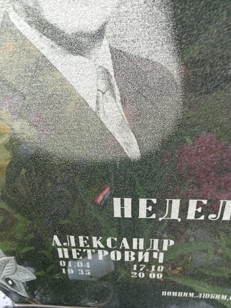 Неделько Александр Петрович