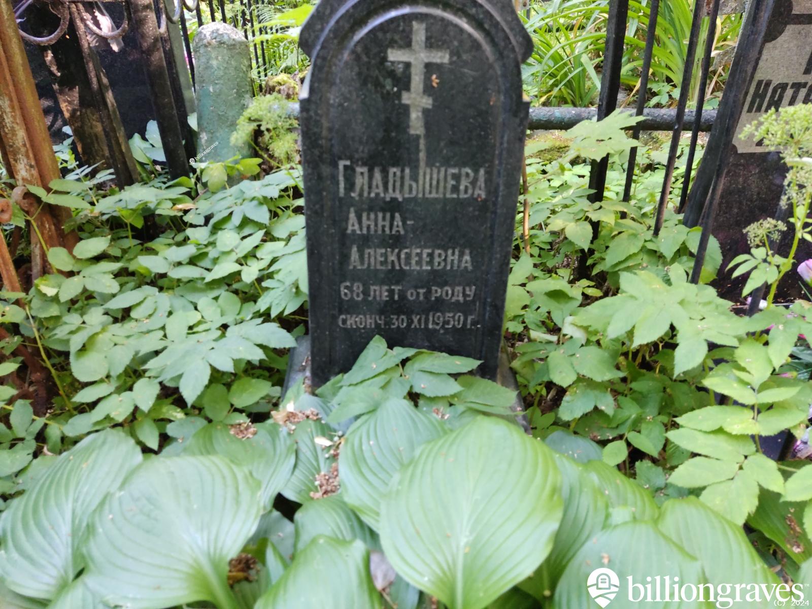 Гладышева Анна Алексеевна