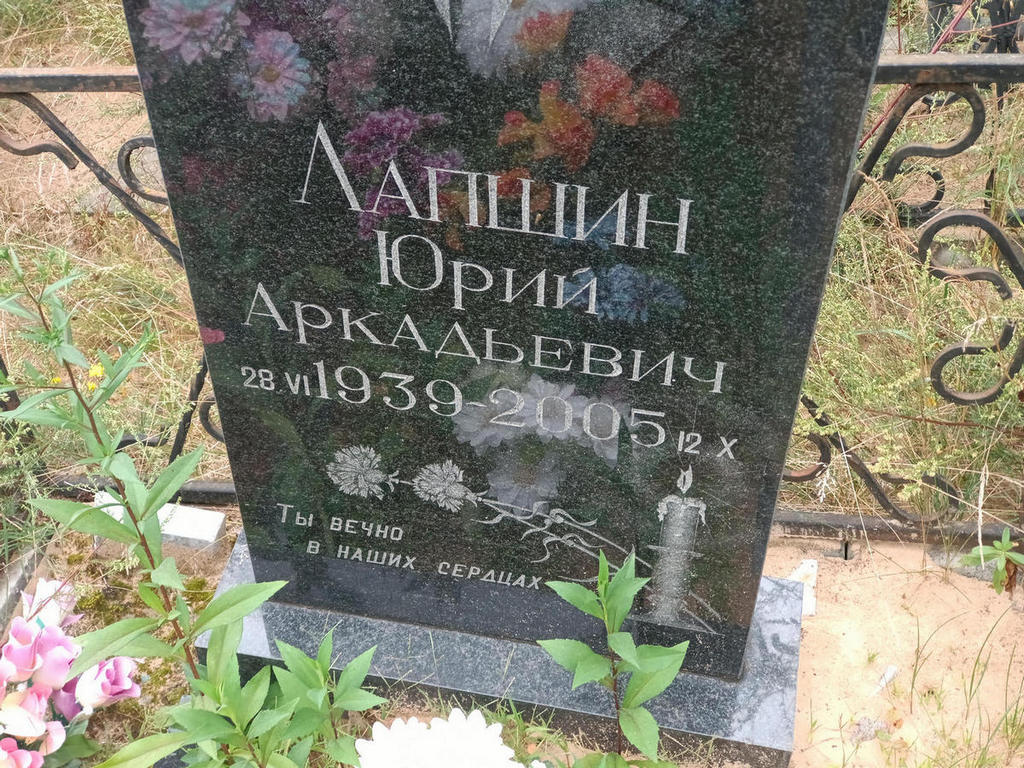 Лапшин Юрий Аркадьевич