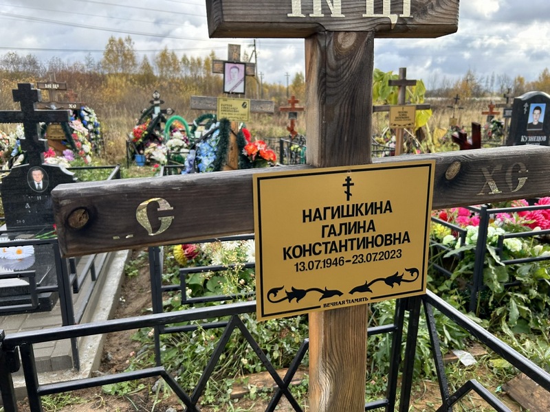 Нагишкина