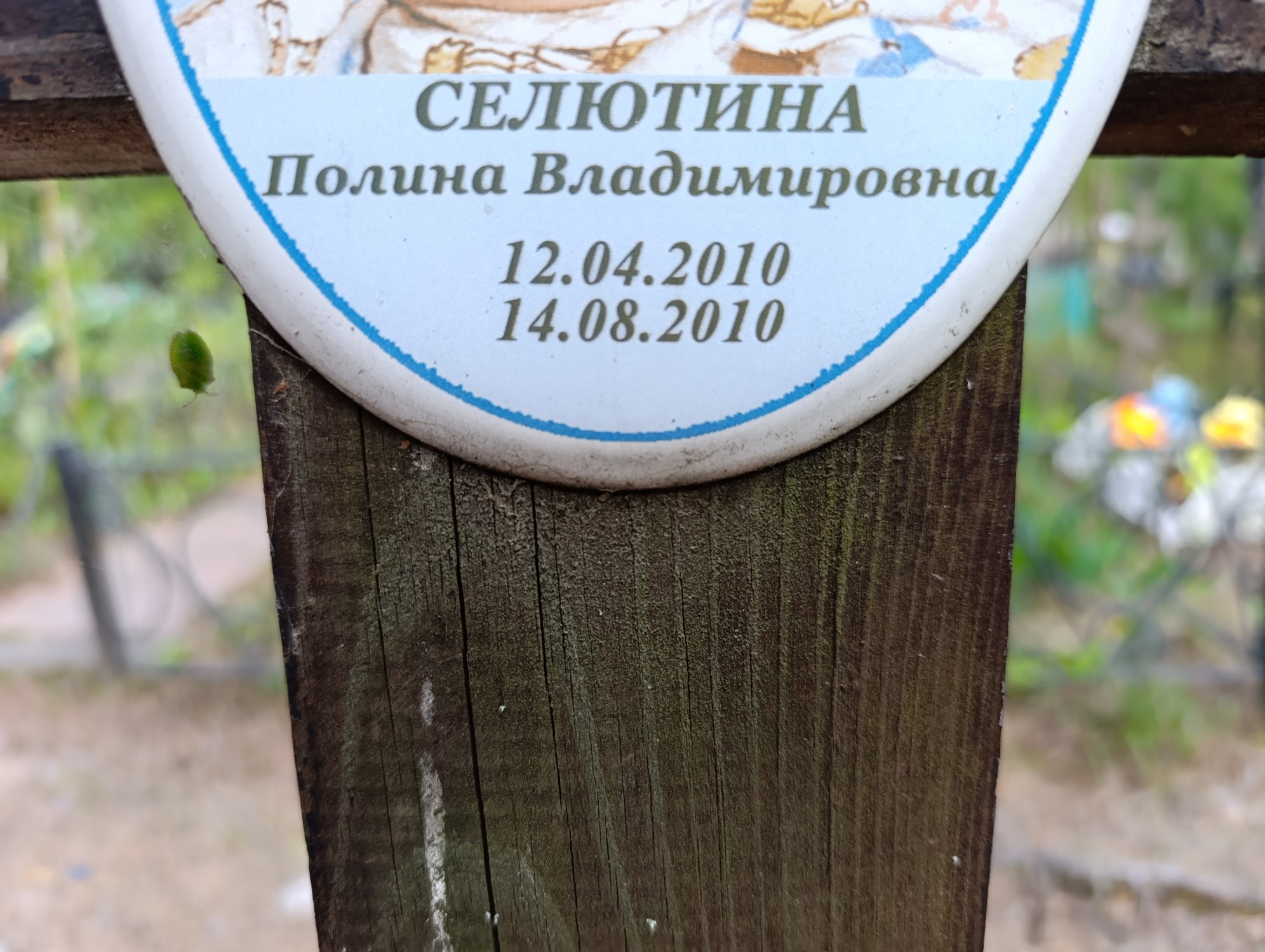 Селютина Полина Владимировна