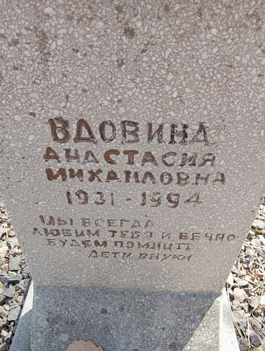 Вдовина Анастасия Михайловна