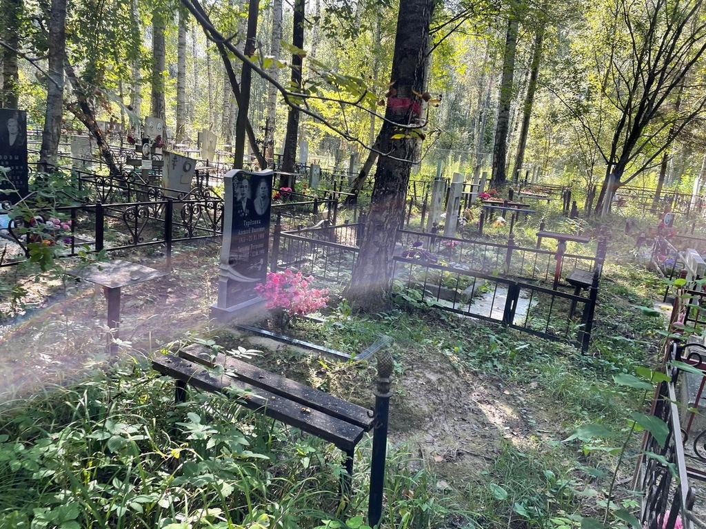 Терехин Алексей Иванович