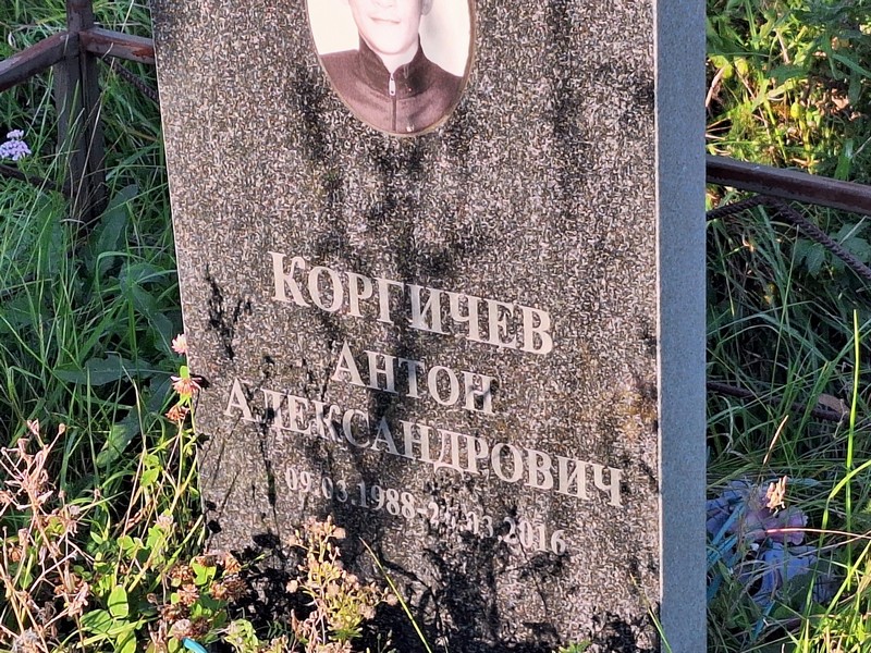 Коргичев