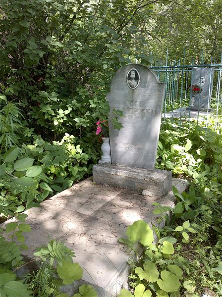Шахмин Николай Александрович