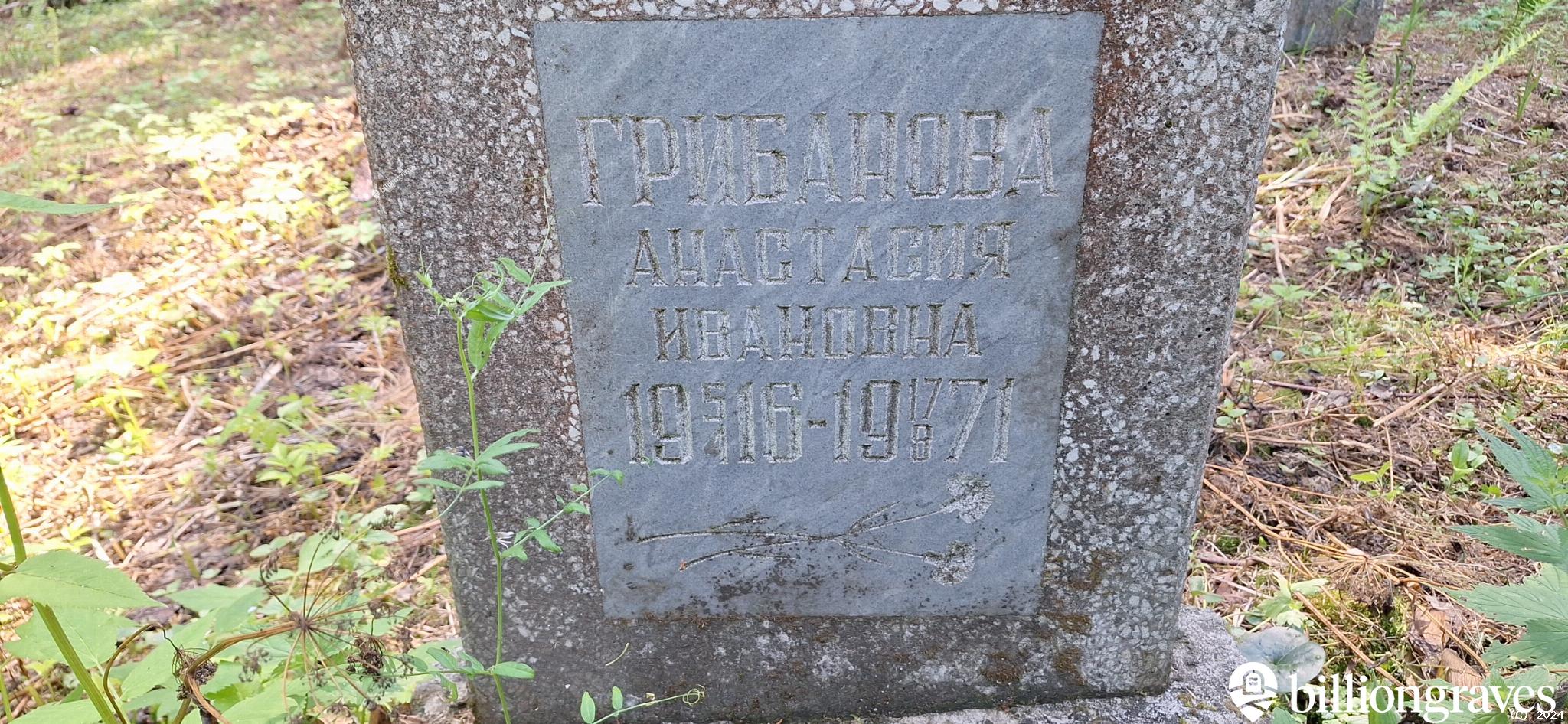 Грибанова Анастасия Ивановна