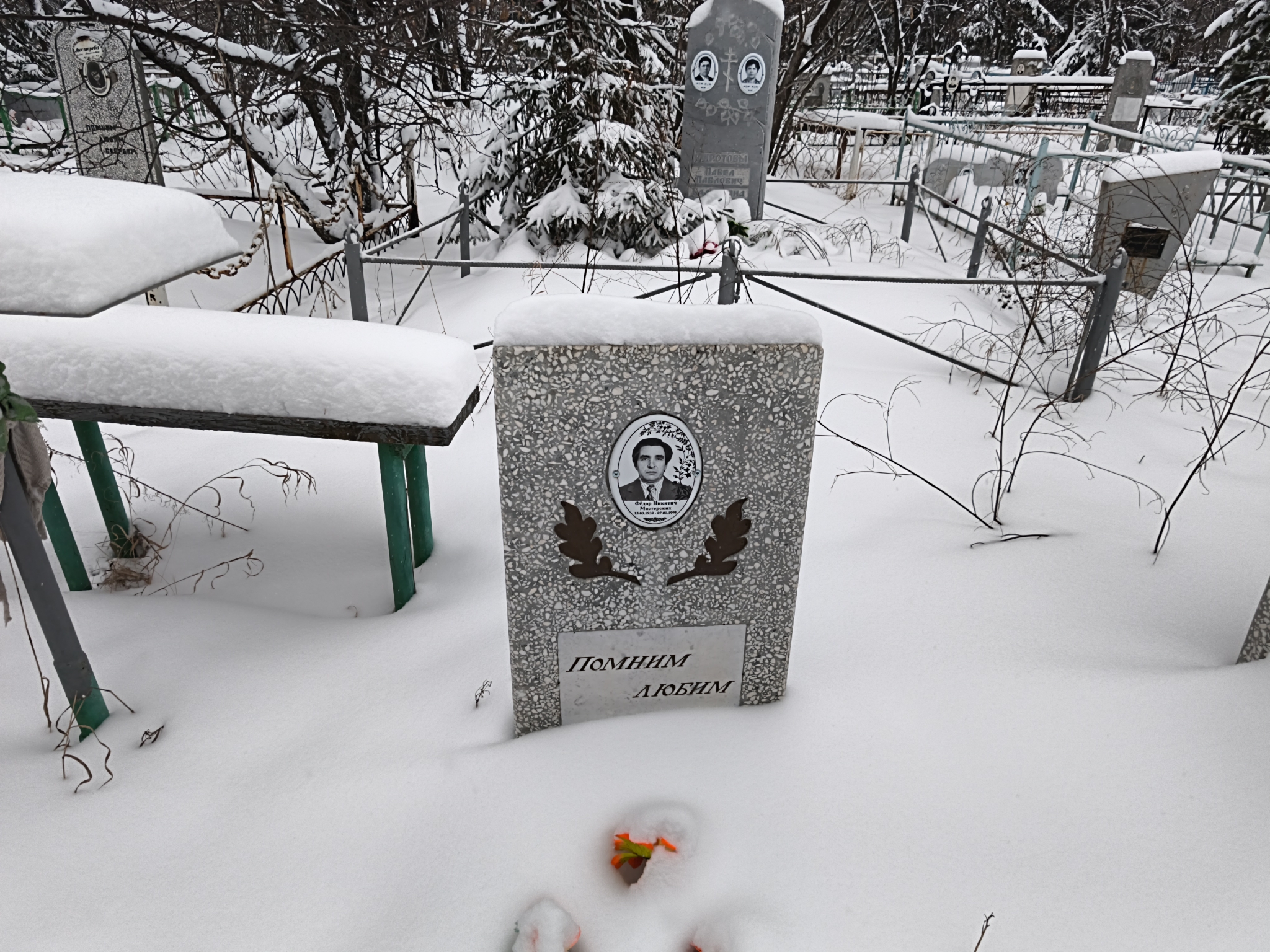 Мастерских Фёдор Никитич