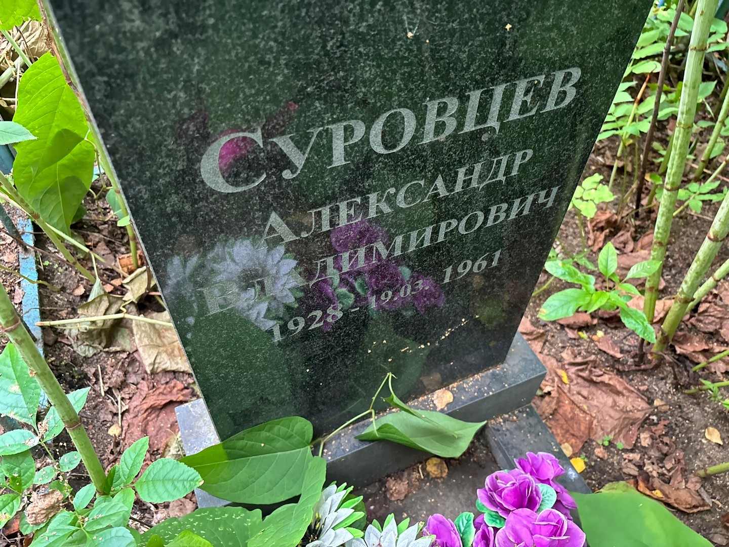 Суровцев
