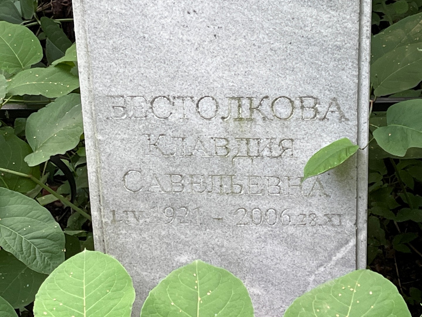Бестолкова