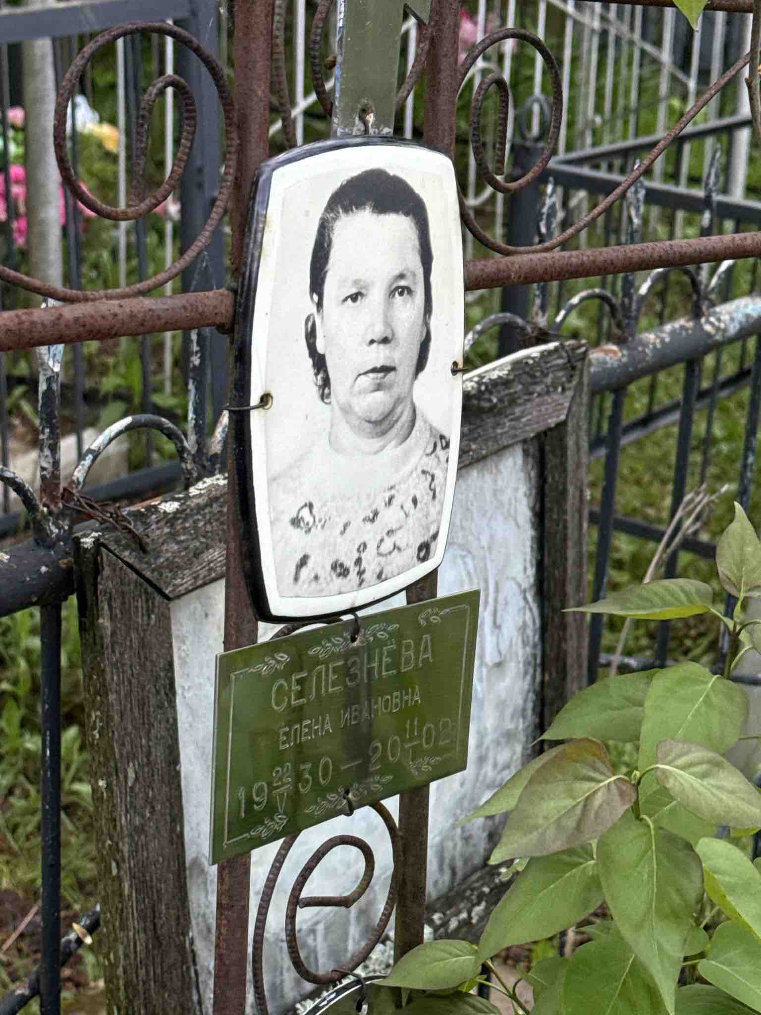Селезнева Елена Ивановна