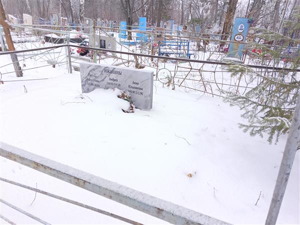 Южанина Анна Ильинична