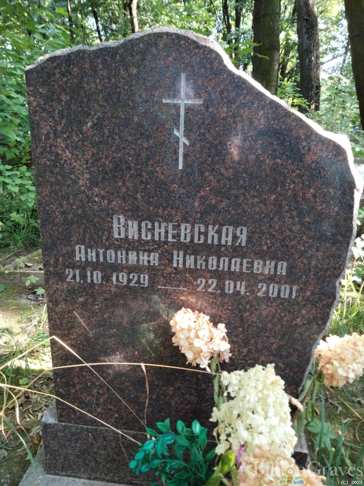 Висневская Антонина Николаевна