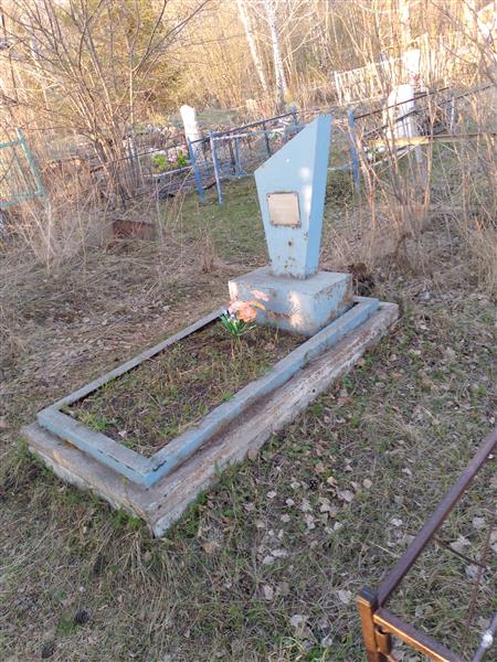 Писарева Ирина Александровна
