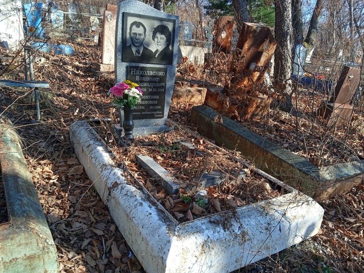 Николаенко Владимир Александрович